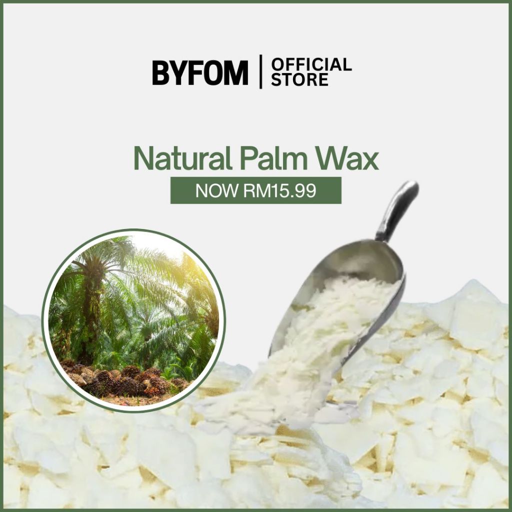1kg  Natural Palm Wax