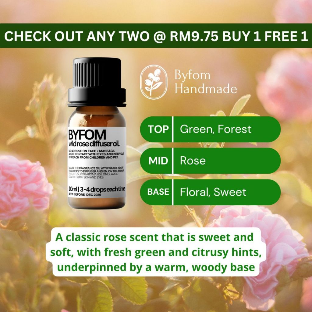 10ml Aroma Air Diffuser Water Soluble Aromatherapy Fragrance Oil Essential Oil Minyak Pati Wangi